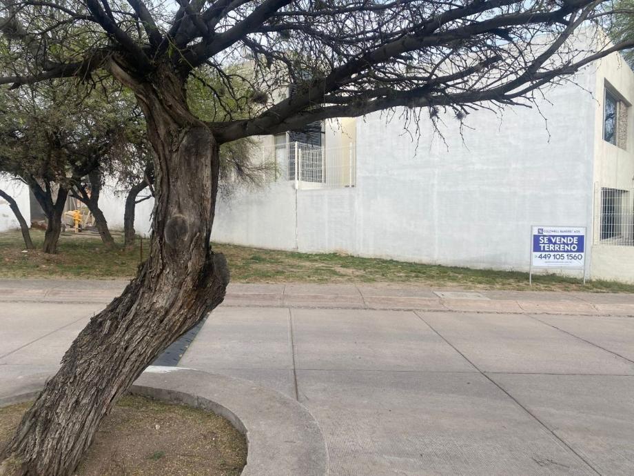 Venta Terreno Norponiente Aguasalientes frente al Tec de Mty, Tres Arroyos
