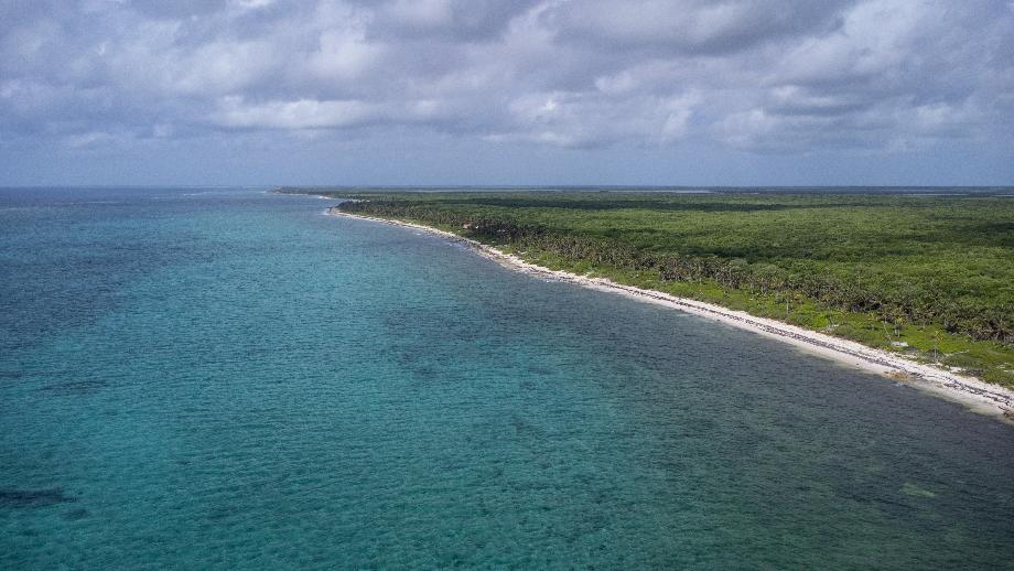 TERRENO FRENTE AL MAR EN PUNTA HERRERO, QUINTANA ROO