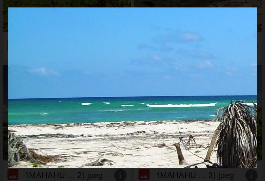 TERRENOS EN VENTA EN MAHAHUAL-QUINTANA ROO