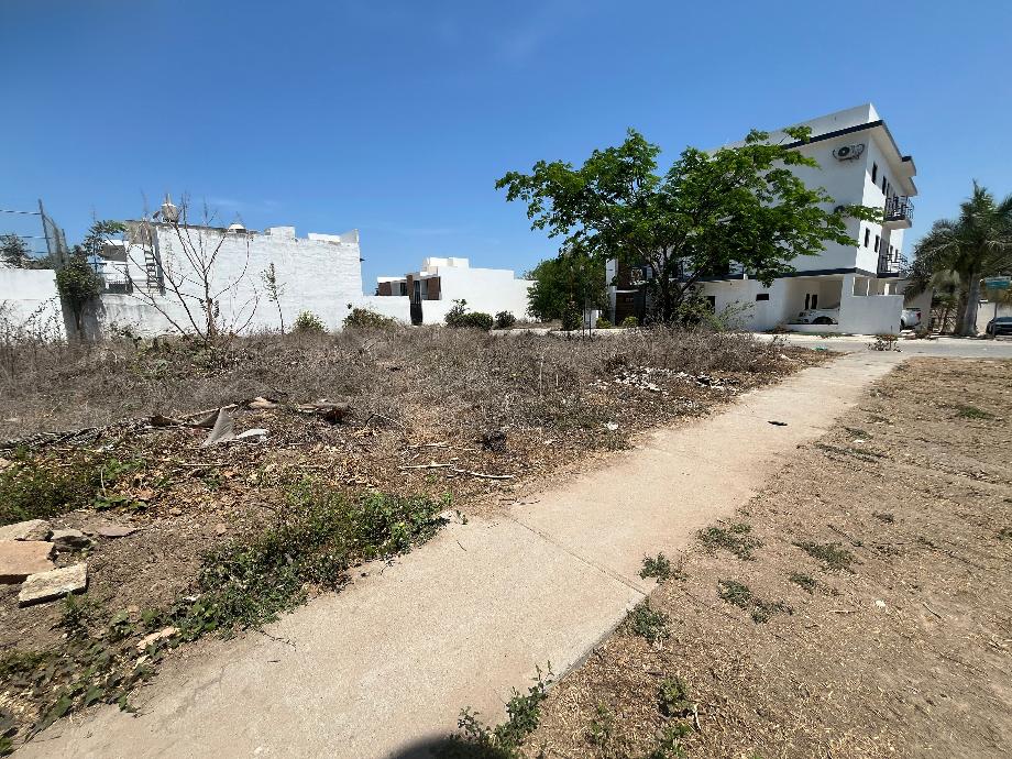 Lote Oporto