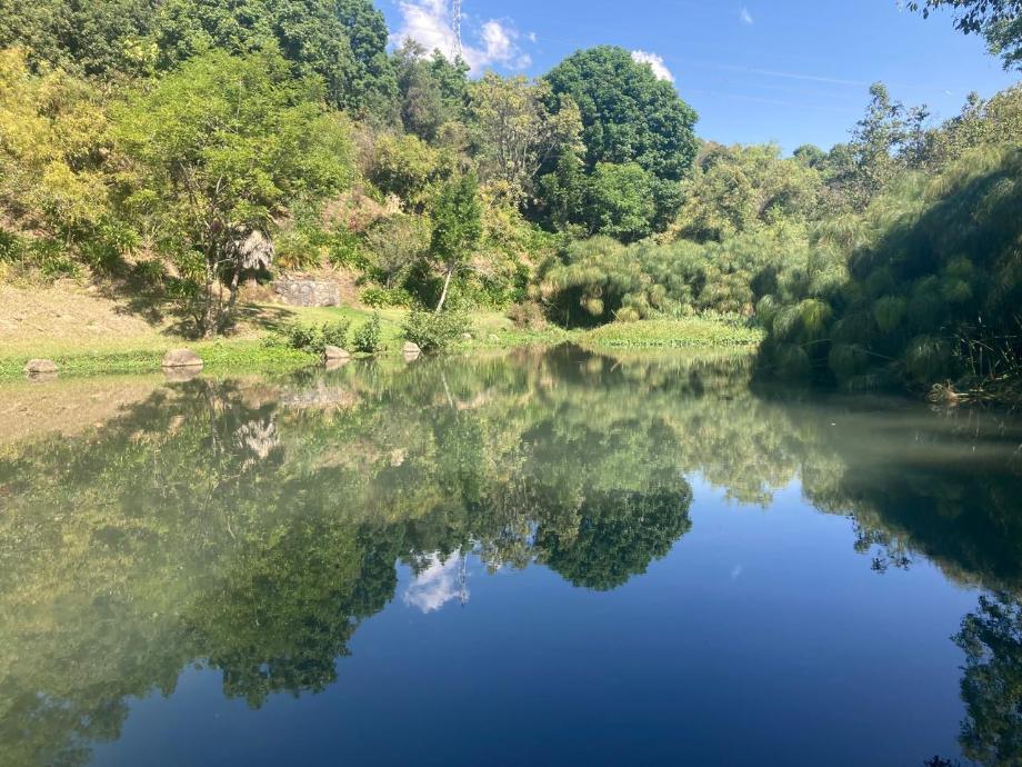 Rancho en Venta con Abundante Agua en Hermosa Zona en Valle de Bravo.