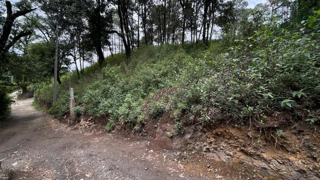 TERRENO EN VENTA EN SAN SIMON